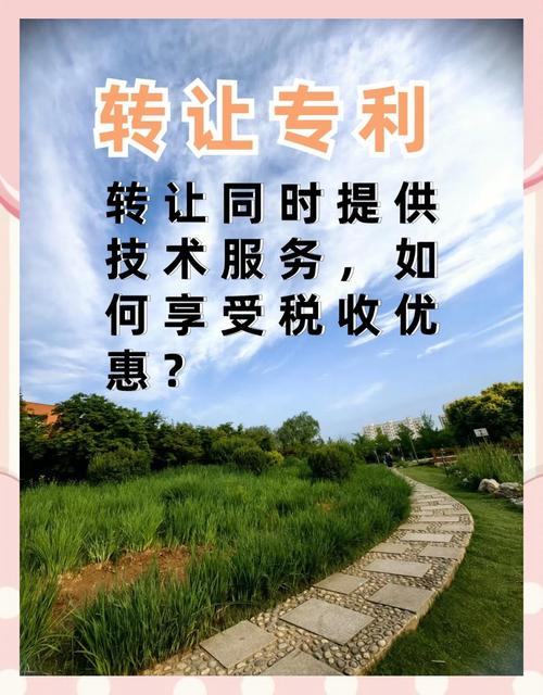 公司技術轉讓與培訓收入合并享稅優的條件解析